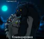 Командировка Алексей Свитнев
