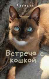 Встреча с кошкой Ариадна