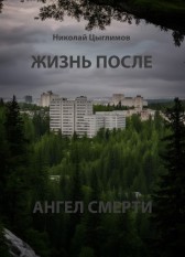 Жизнь после. Ангел смерти. Николай Цыглимов