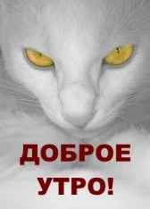 Доброе Утро!