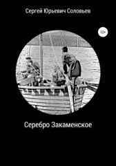 СЕРЕБРО ЗАКАМЕНСКОЕ Сергей Соловьев