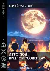 Лето под крылом "Совенка" Сергей Вакутин