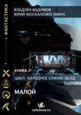 Малой. Книга вторая Владлен Вадимов