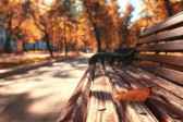 Грустное русское (шансон в прозе) Владимир Владимирович Гораль