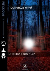 Огни ночного леса Постников Юрий