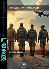 Разлучник. Начало новой жизни Вольдемар Грилелави