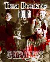 Кошки Тим Волков