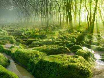 Иллюстрация к книге