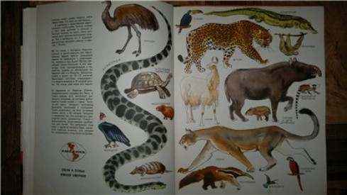 Иллюстрация к книге