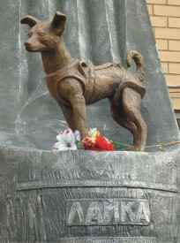 Иллюстрация к книге