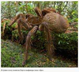 Иллюстрация к книге