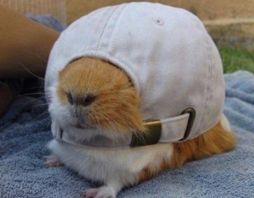 Автор: Петр Исхаков