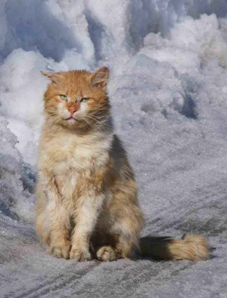 Владимир Ильин