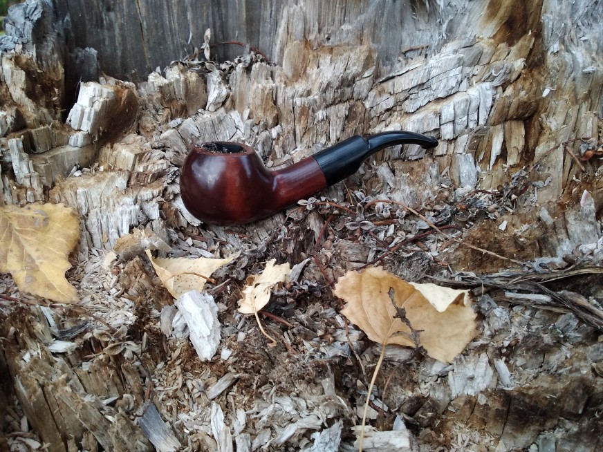 Роман Игнатов