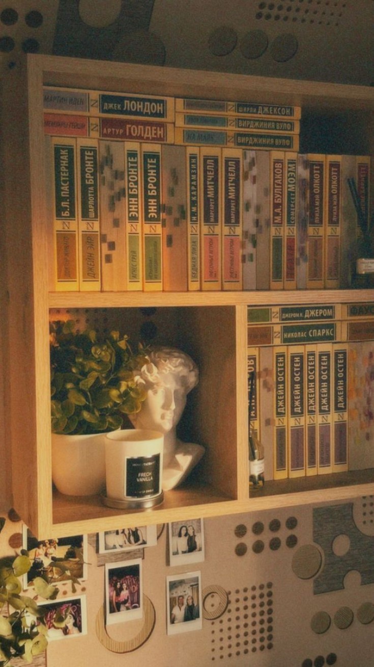 Анастасия Комарова