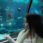 Виктория Киреева